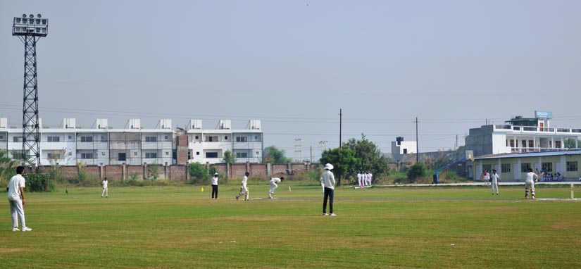 Cricket