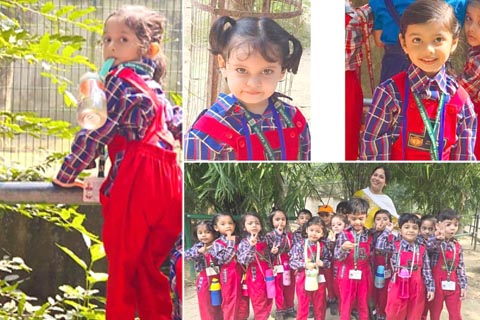 Post_KN_13_11_2024-N